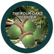 Four Oaks Cluster